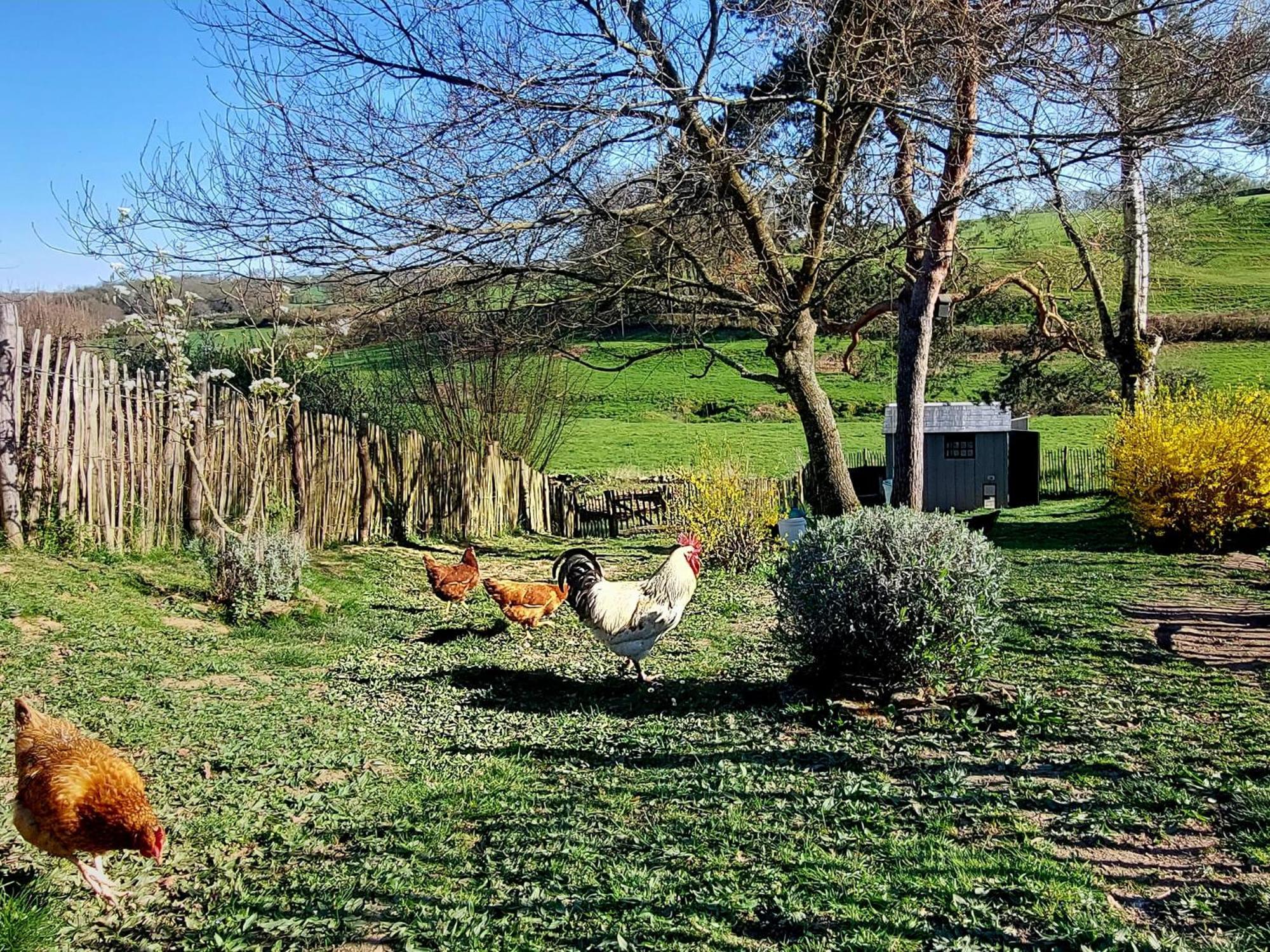 Maison Du Grand Moulin Saint-Aubin-en-Charollais 외부 사진