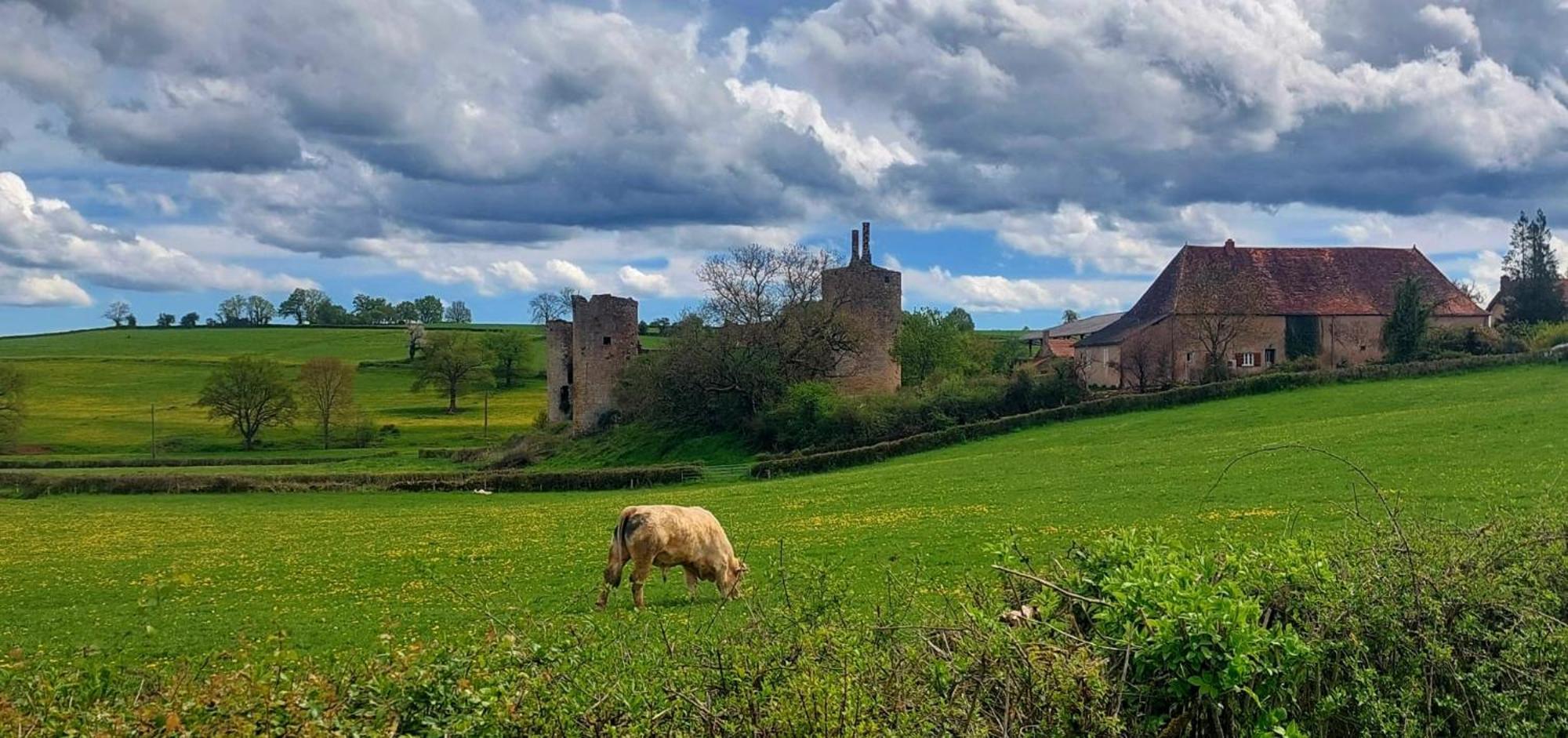 Maison Du Grand Moulin Saint-Aubin-en-Charollais 외부 사진