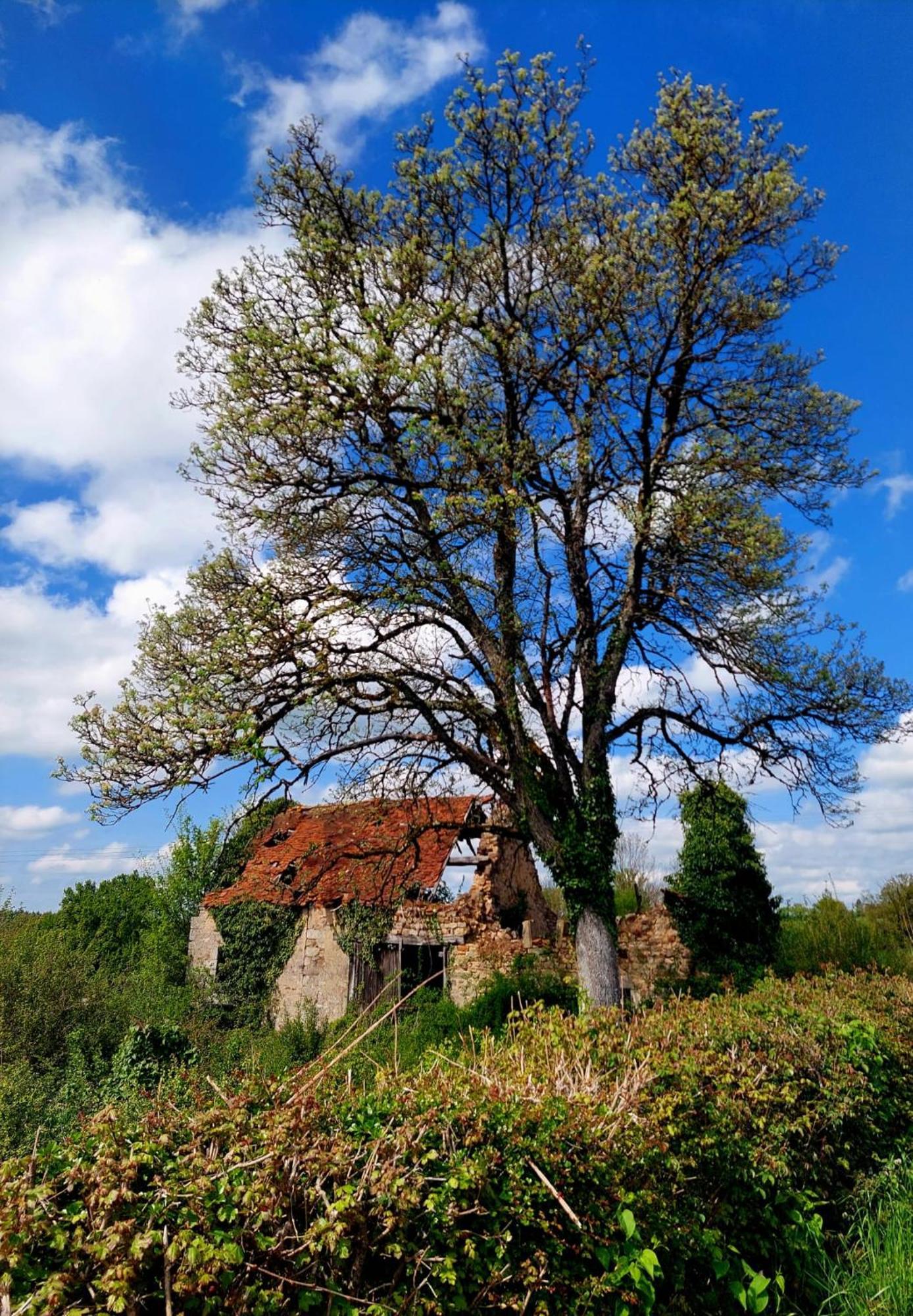 Maison Du Grand Moulin Saint-Aubin-en-Charollais 외부 사진